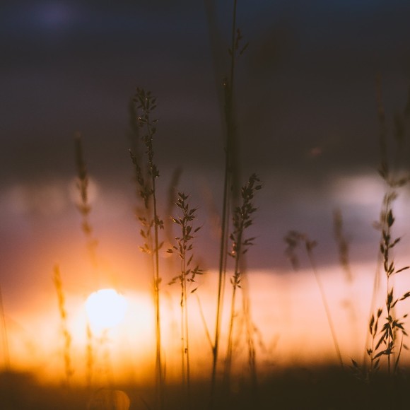 Meet your Posher, Kimia - Picture 1 of 1